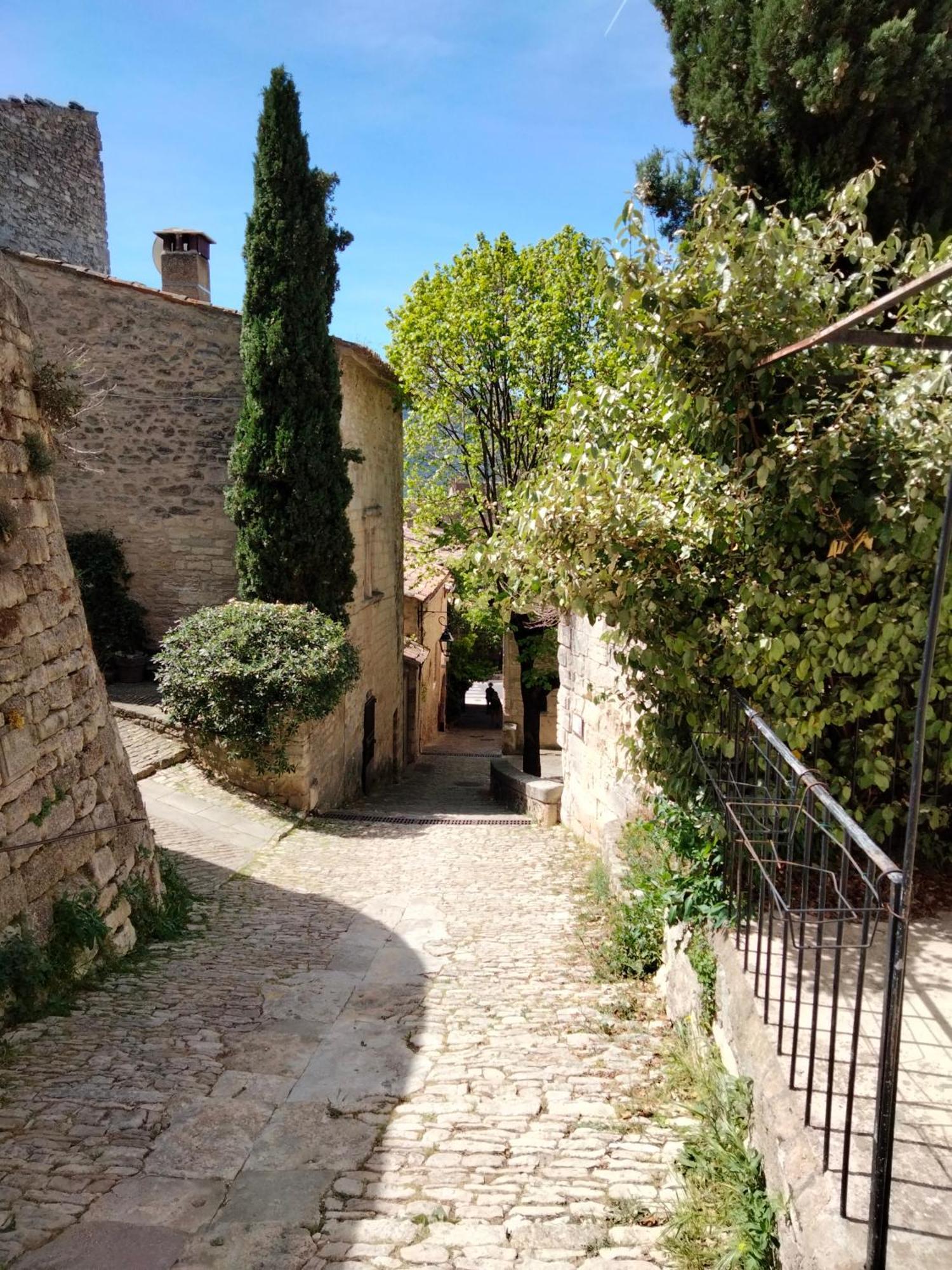 Appartement Bellevue Du Ventoux モンブリュン・レ・バン エクステリア 写真